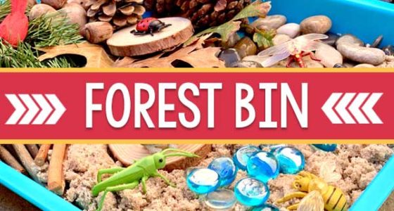 Forest Sensory Bin