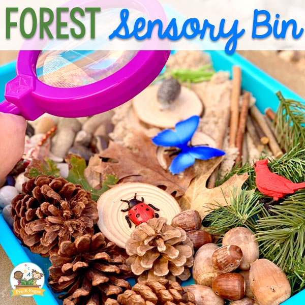 Forest Sensory Bin