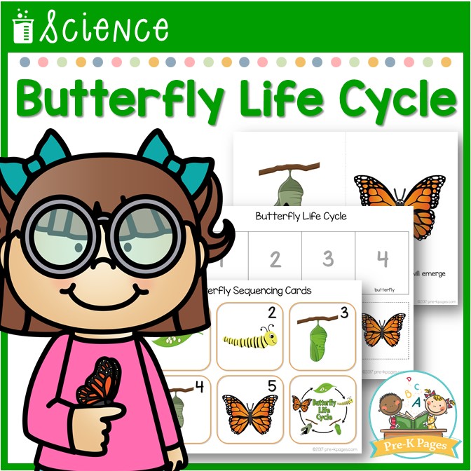 Butterfly Life Cycle Pre K Pages butterfly-life-cycle-pre-k-pages