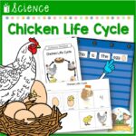 Chicken Life Cycle Science Lesson