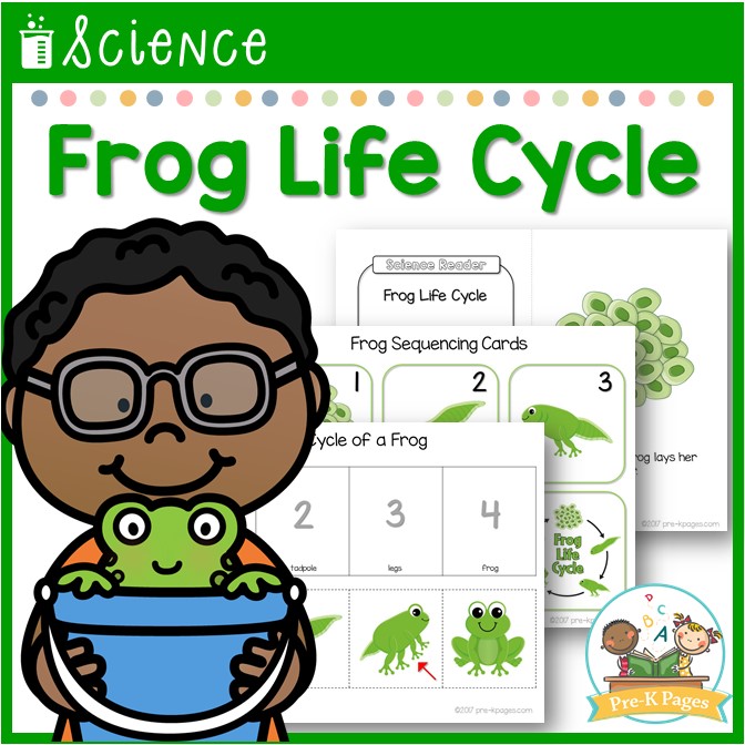 Frog Life Cycle Science Lesson