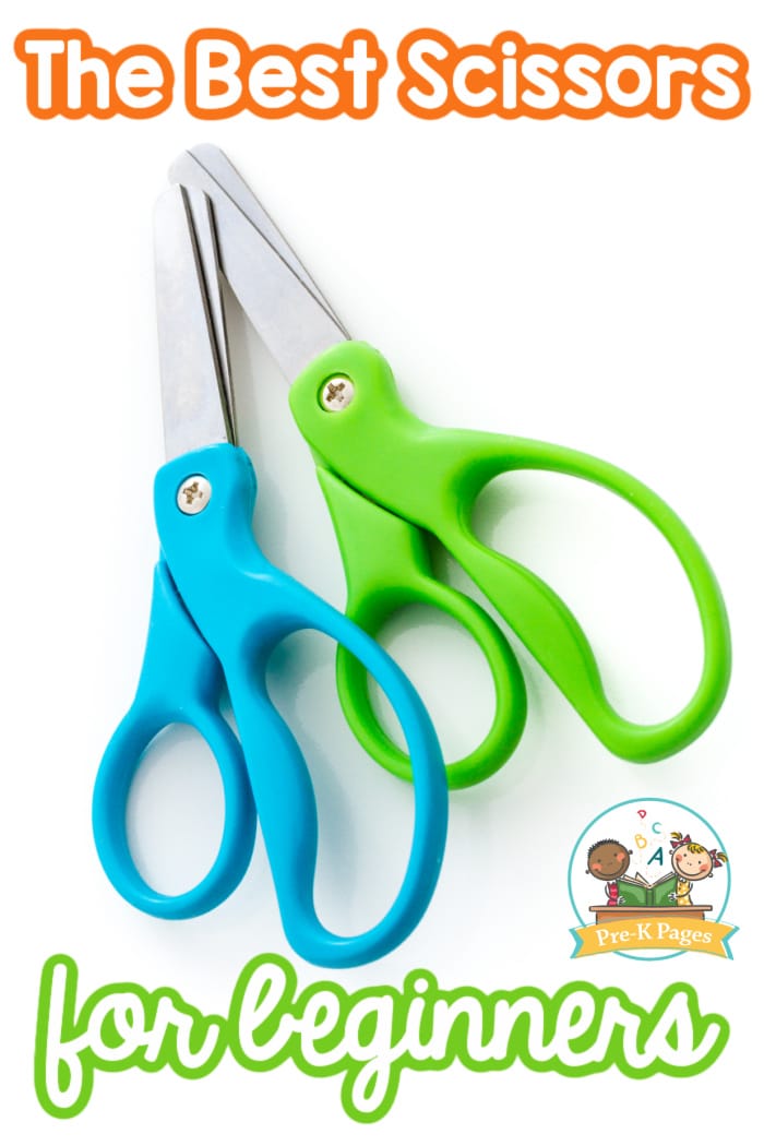 Best Scissors for Beginners
